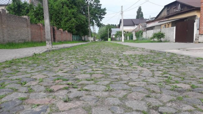 Туристам на сміх: історична частина Луцька заросла травою. ФОТО