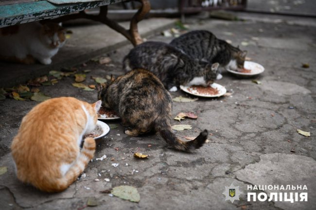 Поліція рятує домашніх тварин у вщент зруйнованому Оріхові