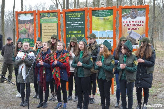 У гумових чоботах і з мечами в руках: як Савченко і волинські «віпи» садили ліс. ФОТО
