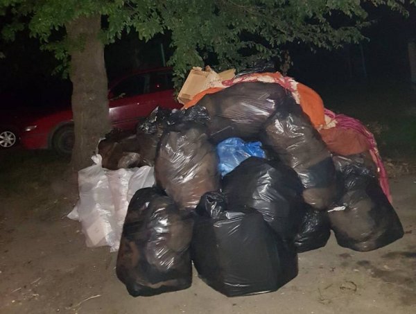 Бруд, таргани і миші: у Ковелі пенсіонерка перетворила квартиру на смітник. ФОТО