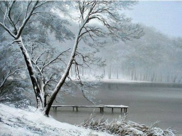 У ставку на Волині знайшли тіло людини