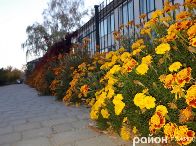 Місто на Волині восени: жовто-багряна краса. ФОТО