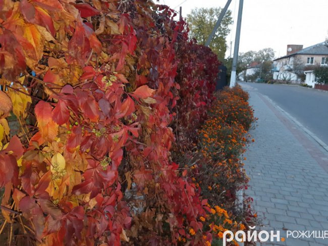 Місто на Волині восени: жовто-багряна краса. ФОТО