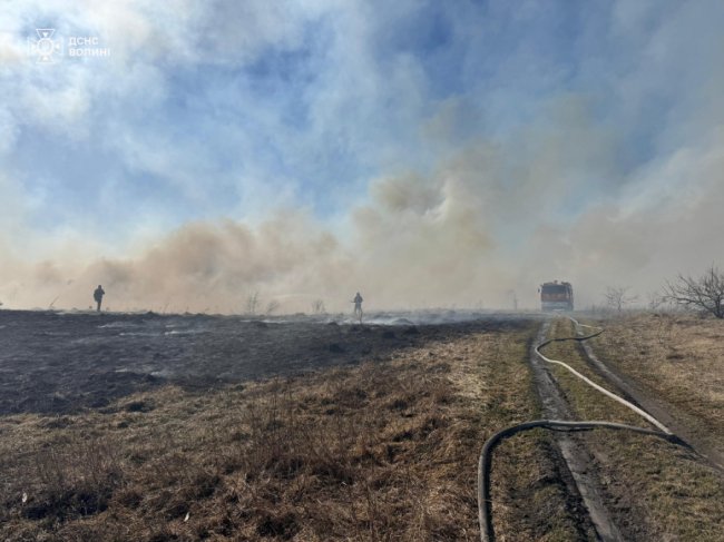 Волинь - у вогні: рятувальники погасили 13 пожеж сухої трави на 16 га. ФОТО