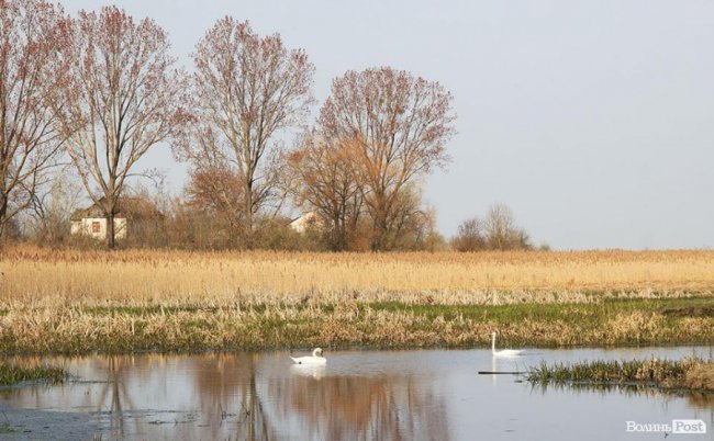 Мальовничі села в об'єктиві волинського фотографа. ФОТО