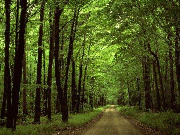 21 березня на Волині: гортаючи календар