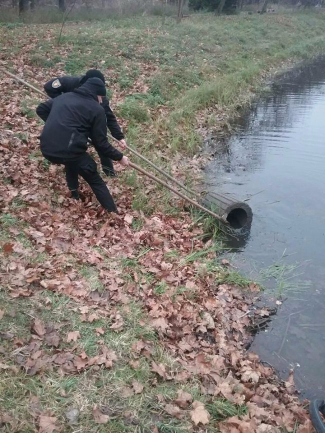 Муніципали показали, як виловлювали смітники з канави. ФОТО
