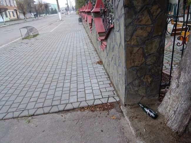 Собаки розривають памперси: на Волині - смітник в центрі селища