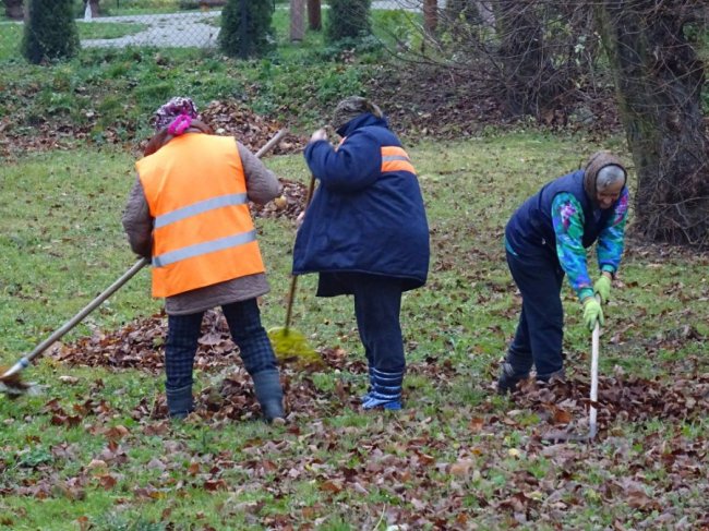 Собаки розривають памперси: на Волині - смітник в центрі селища