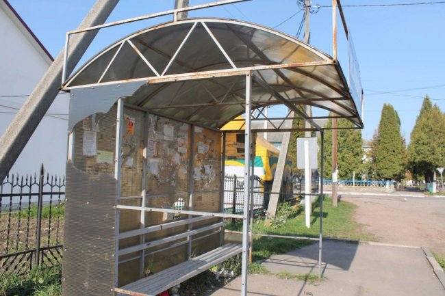 Собаки розривають памперси: на Волині - смітник в центрі селища