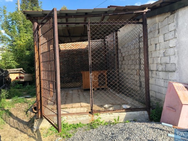 У поліції Нововолинська з’явився чотирилапий помічник. ФОТО