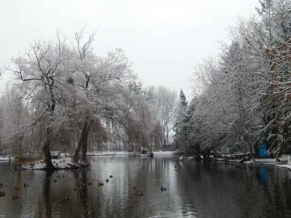 Як мешканці луцького зоопарку зустріли перший сніг. ФОТО