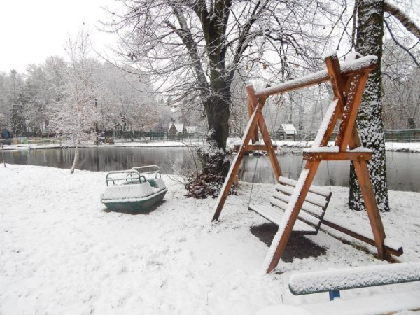 Як мешканці луцького зоопарку зустріли перший сніг. ФОТО