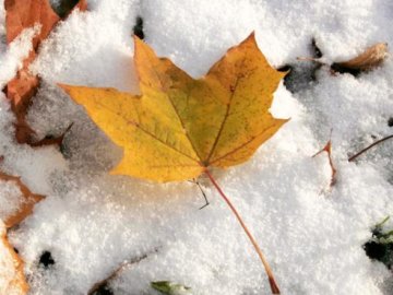 Вже сьогодні, 21 вересня, в Україні випаде перший сніг