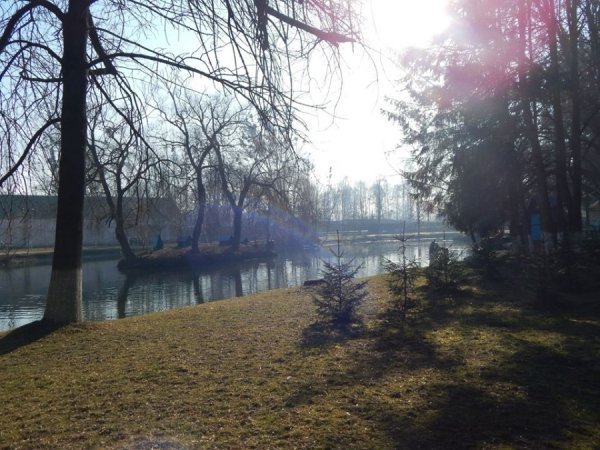 У Луцький зоопарк принесли поранених лелек. ФОТО  