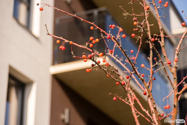 Стартувало будівництво другої черги ЖК «StyleUp»: особливості та ціни*