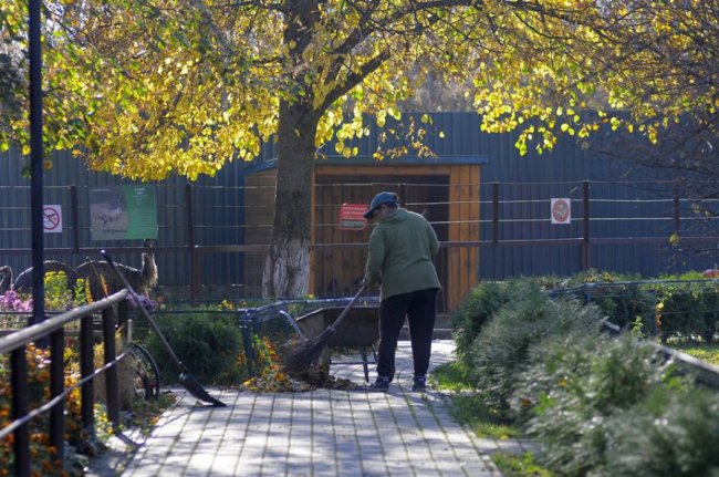 Мешканці Луцького зоопарку – в очікуванні зими. ФОТО