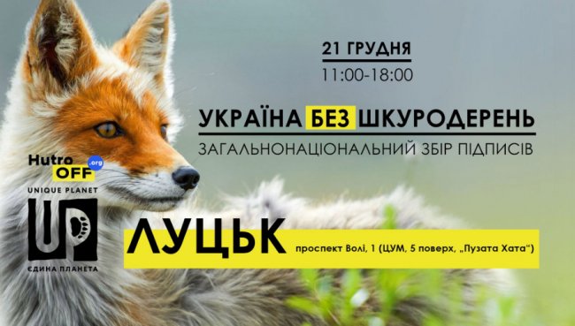 Що подивитися та куди піти у Луцьку 20–22 грудня