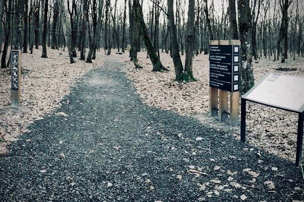 Куди поїхати поблизу Луцька взимку: 11 ідей для любителів подорожувати