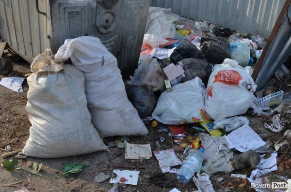 Під школою у Луцьку – купи сміття. ФОТО