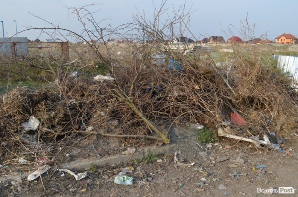 Під школою у Луцьку – купи сміття. ФОТО