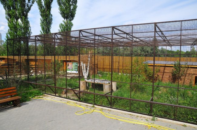 У Луцькому зоопарку  – нова пара закоханих пухнастиків