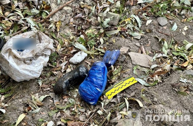 11 кг наркотиків на майже сім мільйонів: волинські поліцейські затримали 26-річну організаторку наркоторговлі