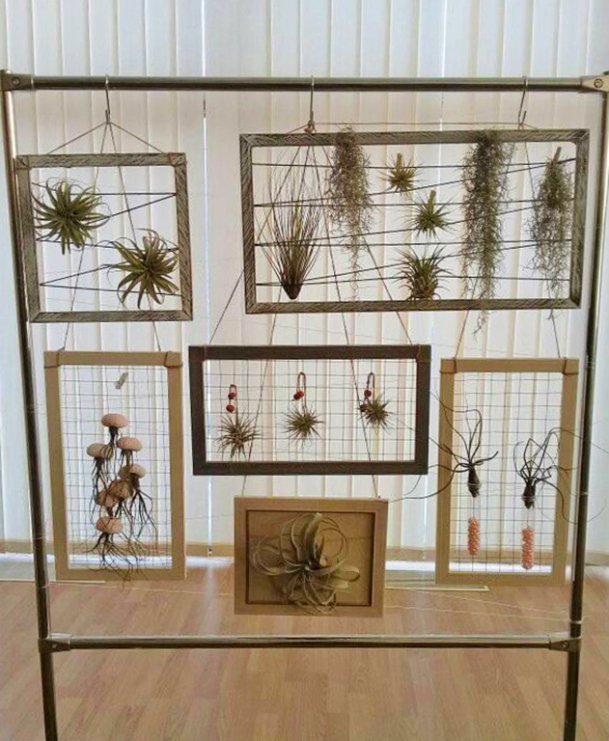 Юні лісівники з Волині представили оригінальну експозицію на всеукраїнському конкурсі. ФОТО