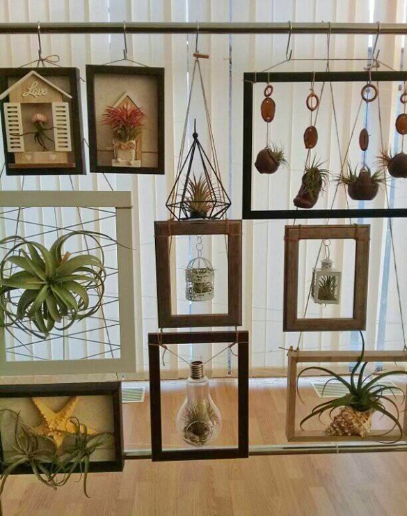 Юні лісівники з Волині представили оригінальну експозицію на всеукраїнському конкурсі. ФОТО