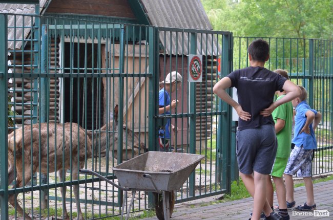 Дітям атовців влаштували екскурсію Луцьким зоопарком