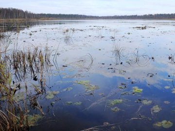 Луцький фотограф поділився світлинами волинського заказника