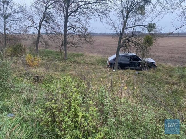 Біля Володимира-Волинського автівка з п`яним водієм злетіла в кювет. ФОТО