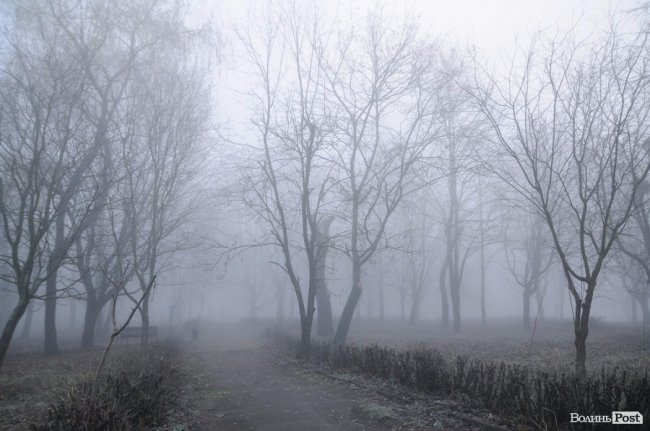 Паморозь і густий туман: чарівний ранок у Луцьку. ФОТО