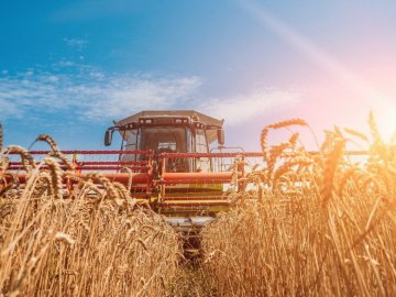 На Волині завершили жнивну кампанію: чи вплинули цьогорічні погодні умови на урожай