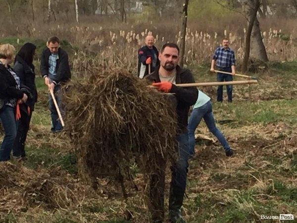 У Луцьку працівники ПриватБанку прибирали і садили дерева в парку ім. Лесі Українки. ФОТО