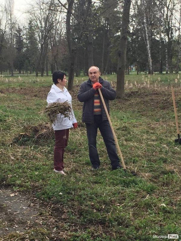 У Луцьку працівники ПриватБанку прибирали і садили дерева в парку ім. Лесі Українки. ФОТО