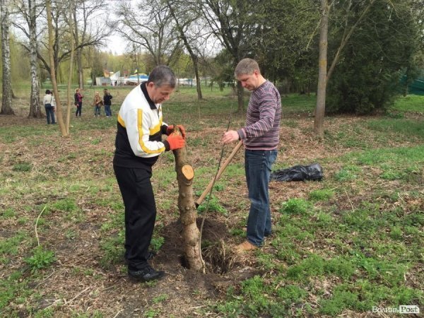 У Луцьку працівники ПриватБанку прибирали і садили дерева в парку ім. Лесі Українки. ФОТО