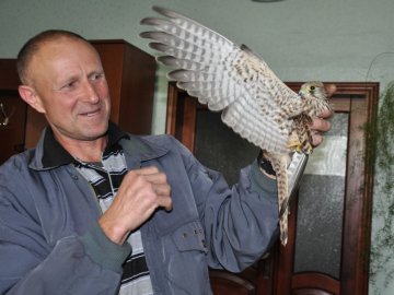 Волинянин розповів, як врятував птаха-мандрівника з Фінляндії