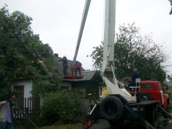 На Рівненщині під час бурі повиривало багаторічні дуби. ФОТО