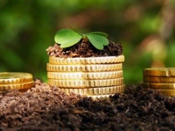  Громади Волині отримали в 2,5 рази більше податків, ніж за минулі роки