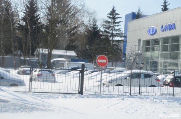 Луцьк після снігопаду. ФОТО