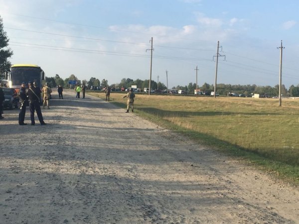 Що робиться у Маневицьких лісах? ФОТО