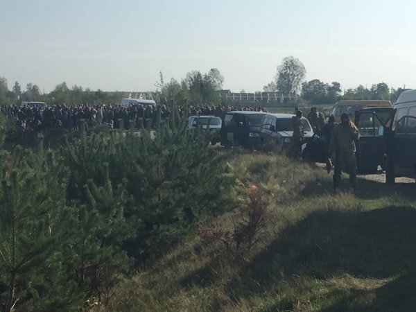 Що робиться у Маневицьких лісах? ФОТО