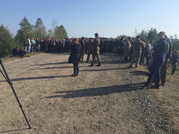 Що робиться у Маневицьких лісах? ФОТО