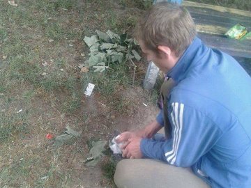 Насмітив – прибери: лучан змусили прибрати «напльоване»  лушпиння