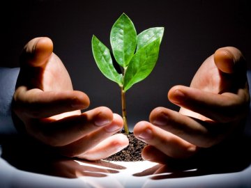 Відкриття власного бізнесу: важливі моменти та стратегія*