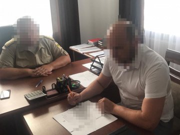 Понад 17 мільйонів збитків через вирубку лісу: посадовцю лісової галузі з Волині повідомили про підозру