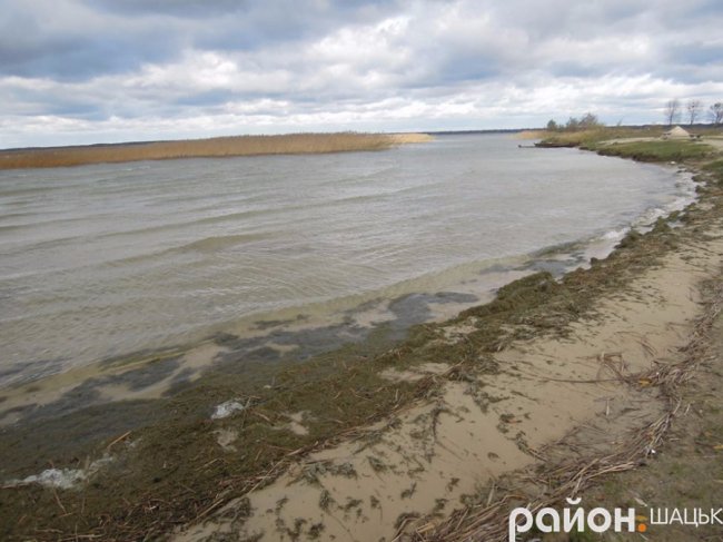 Сердитий і прекрасний: опублікували фото осіннього Світязю