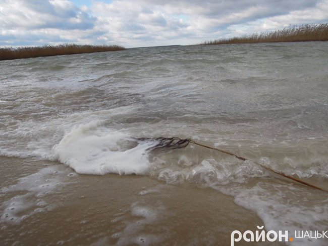 Сердитий і прекрасний: опублікували фото осіннього Світязю