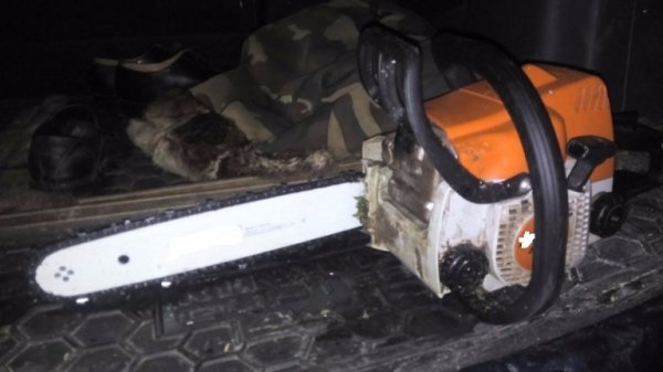 На Волині чоловік крав дуби на меблі